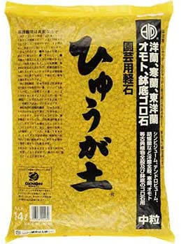 ひゅうが土 中粒 5L ぼら土 ひゅうがつち 日向土 日向つち 日向石 ひゅうが石 園芸用軽石 軽石 鉢底石 底石 水に沈む軽石 多肉 多肉植物 蘭 洋蘭 胡蝶蘭 挿し木 用土 専用土 土 つち