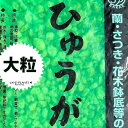 【特級品】 ひゅうが軽石 （大粒）18L 日向土 日向つち 日向石 ひゅうが軽石 ひゅうが石 園芸用軽石 軽石 鉢底石 底石 水に沈む軽石 多肉 多肉植物 蘭 洋蘭 胡蝶蘭 挿し木 用土 専用土 土 つち