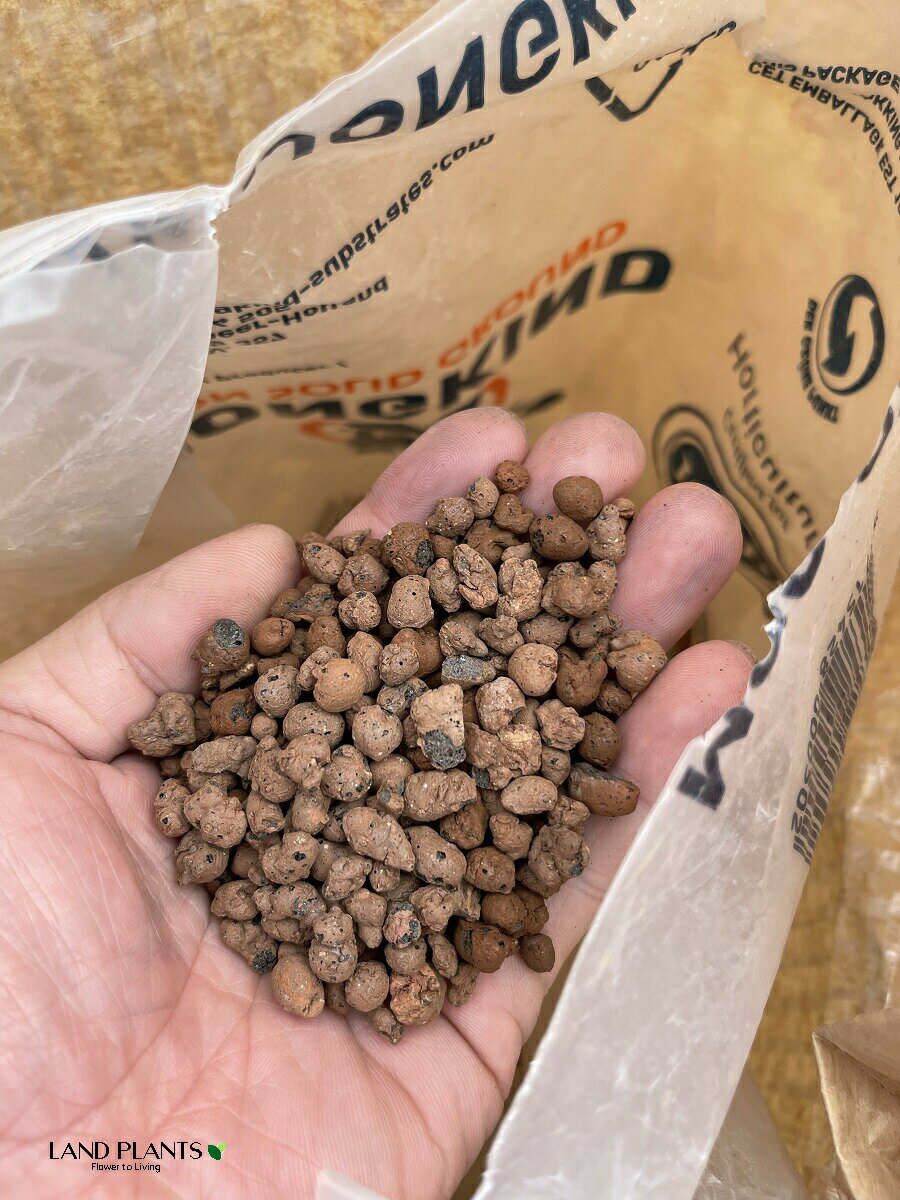 【業務用】 ハイドロコーン 35L （中粒：5〜8mm）水耕栽培用人口土 人口土 人口用...