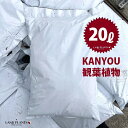 無印の土(観葉植物用) 20L 土 用土 専用土 培養土 LAND PLANTSも選んでいる土 【プロ用】 ORIGINAL