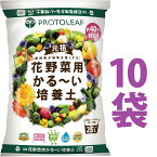 【送料無料】250L 花野菜用 かる～い 培養土 25L （10袋） 保育園 幼稚園 保育所 こども園 学園 学校 園芸 造園 植栽 植込み 花壇 花だん 野菜 お花