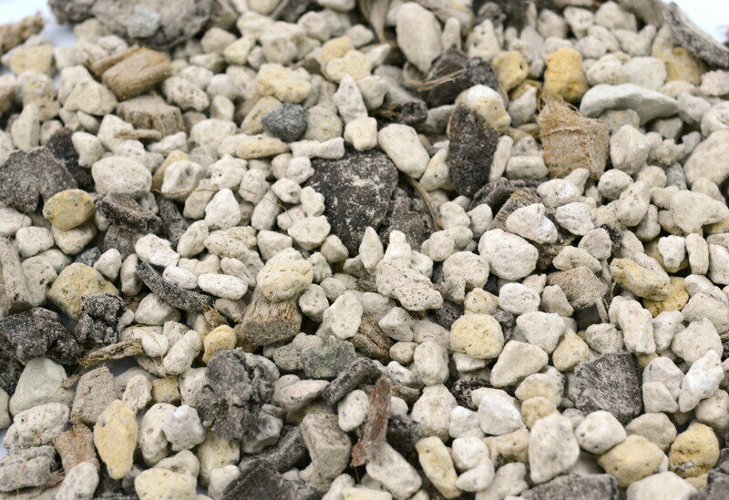 �Τ��������ڡ�12L