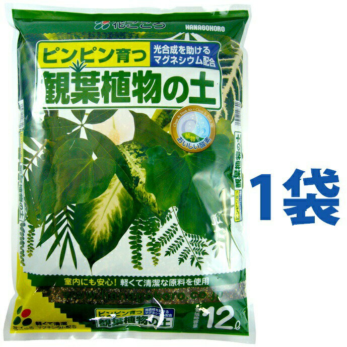 ……………………………………………………………… 規格：12L 袋 サイズ：365×475×75 重量：5kg ……………………………………………………………… ■説明 葉の色が良くなるマグネシウムを配合。 元肥が入って配合の手間なし！ そのまま使えます。室内でも安心。 軽くて清潔な原料を使用。