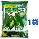 観葉植物の土 12L (1袋)