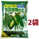 観葉植物の土 12L (2袋)