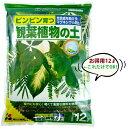 【大袋】 観葉植物の土 (12リッター) 失敗しない。失敗させない。ピンピン育つ 専用用土シリーズ ウンベラータ ガジュマル 敬老の日 ポイント消化 観葉植物