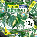 観葉植物の土 12L (1袋)