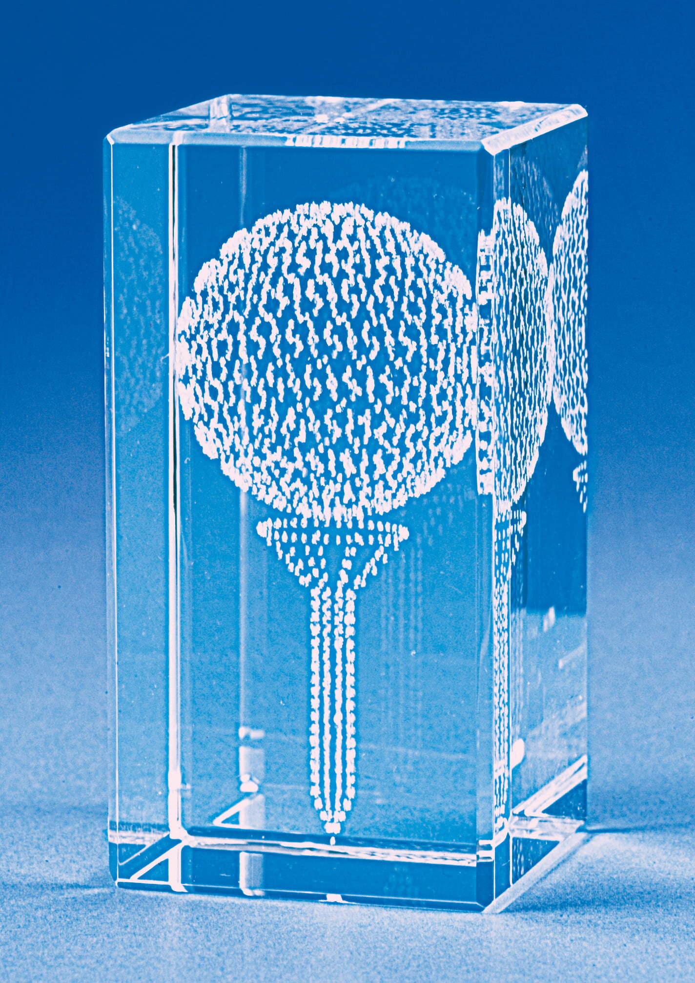 レザーアート（The golf ball) 18018