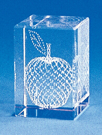 レザーアート（The apple） 18015