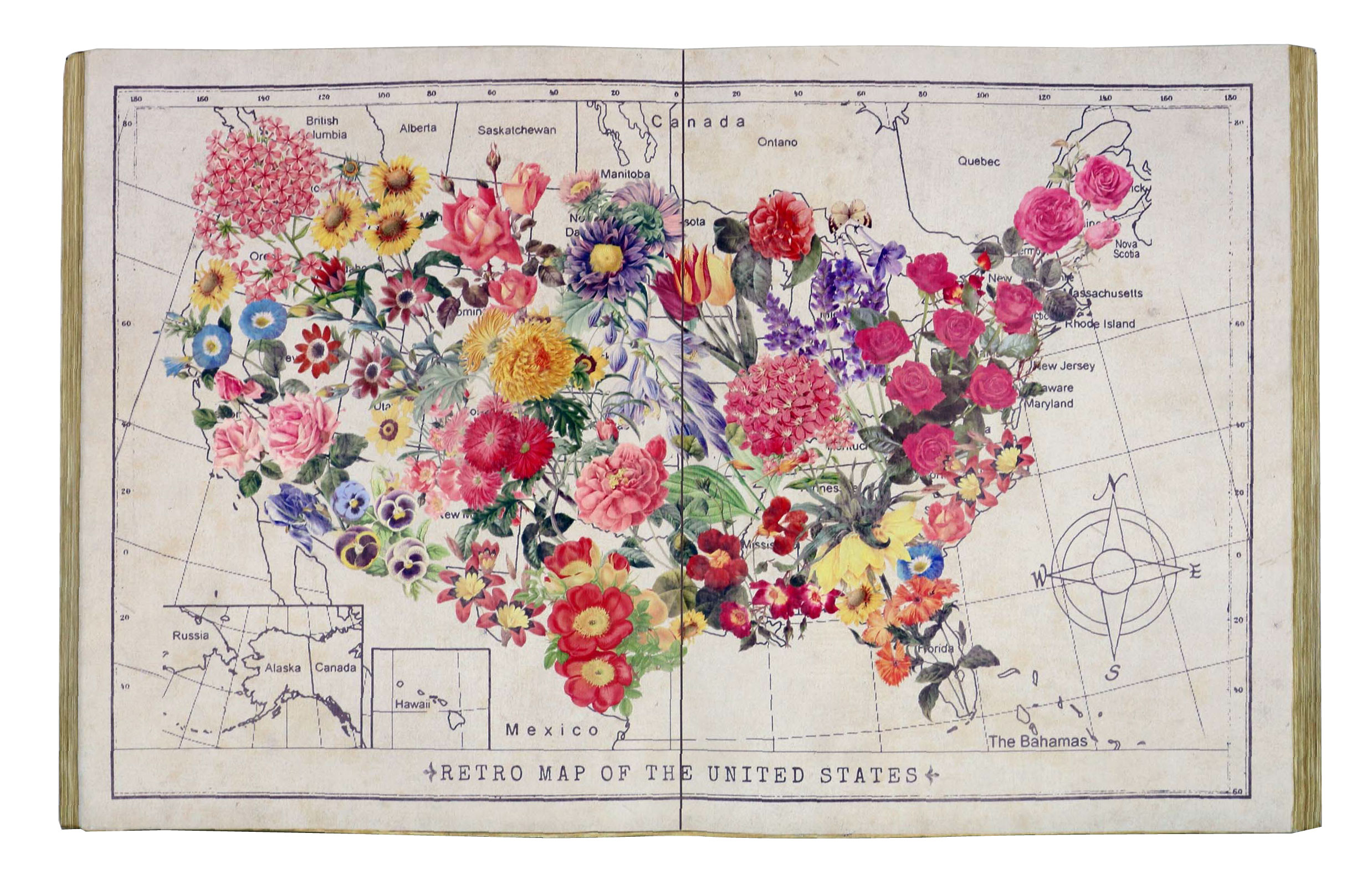 BOOK WALL ART �֥å��������륢���� �ʥ���ꥫ ���Ͽޡ� 28553