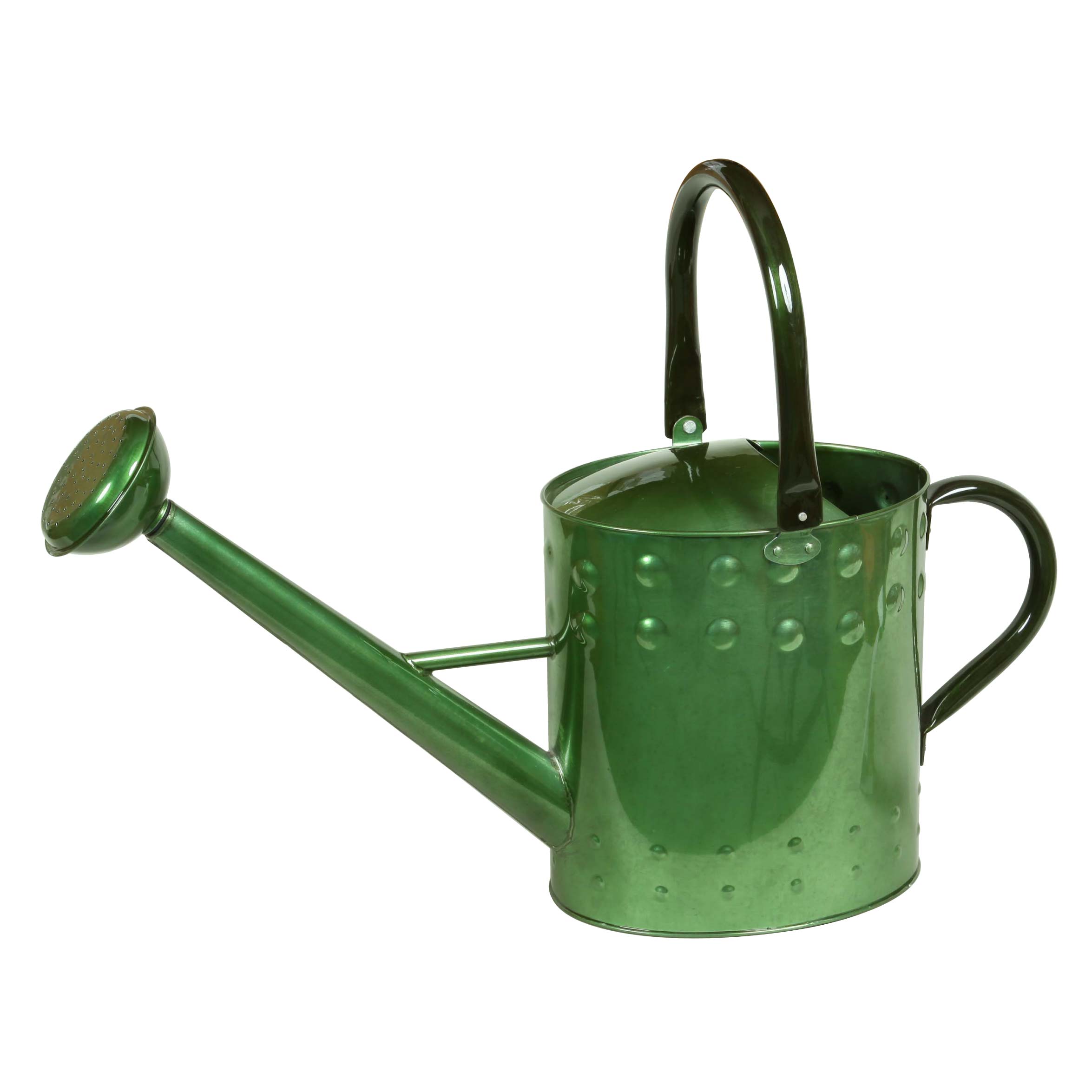 ジョウロ 9.5L（グリーン） ジョーロ 水差し みずさし 水さし ハスロ 散水ノズル ノズル シャワー ピッ..