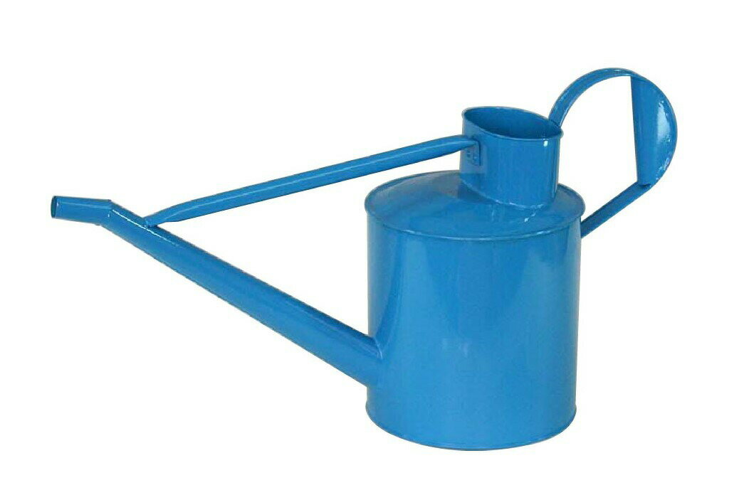 ���祦�� 5.5L �ʥ֥롼�� ���硼�� �庹�� �ߤ����� �夵�� �ԥå��㡼�� 81595