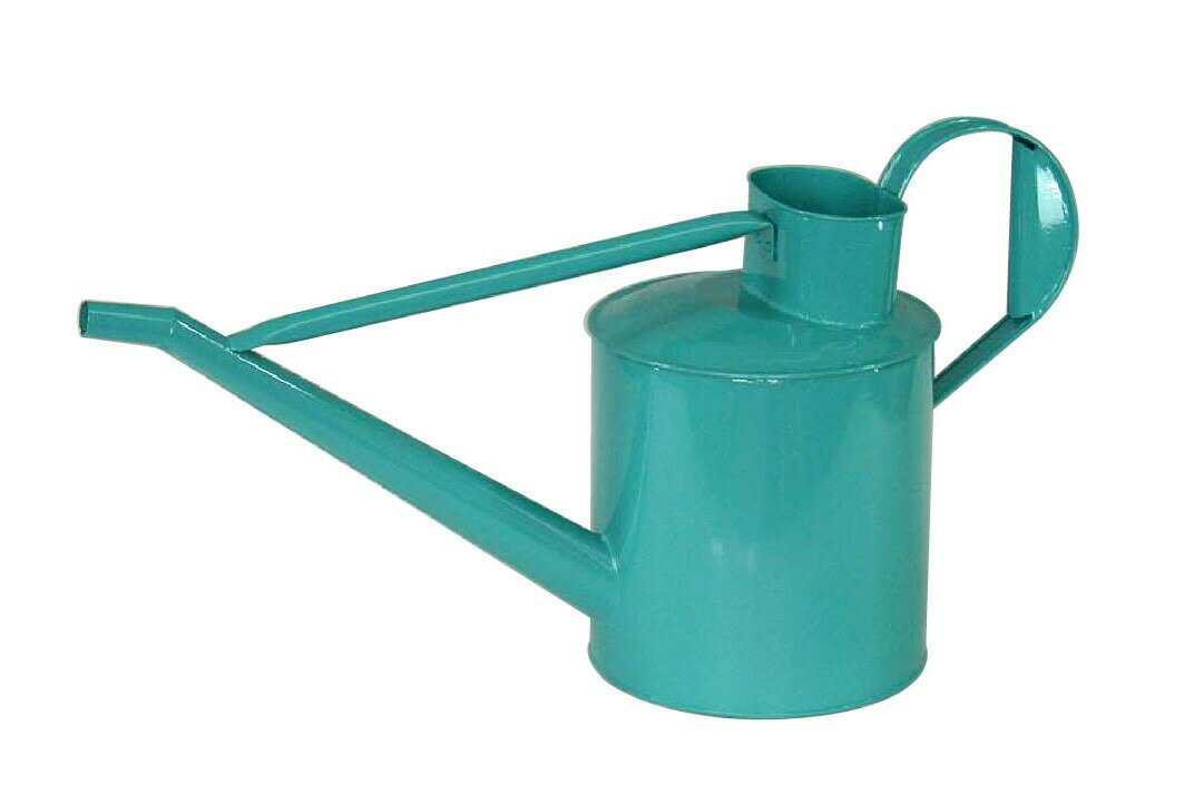 ジョウロ 5.5L （グリーン） ジョーロ 水差し みずさし 水さし ピッチャー型 81596