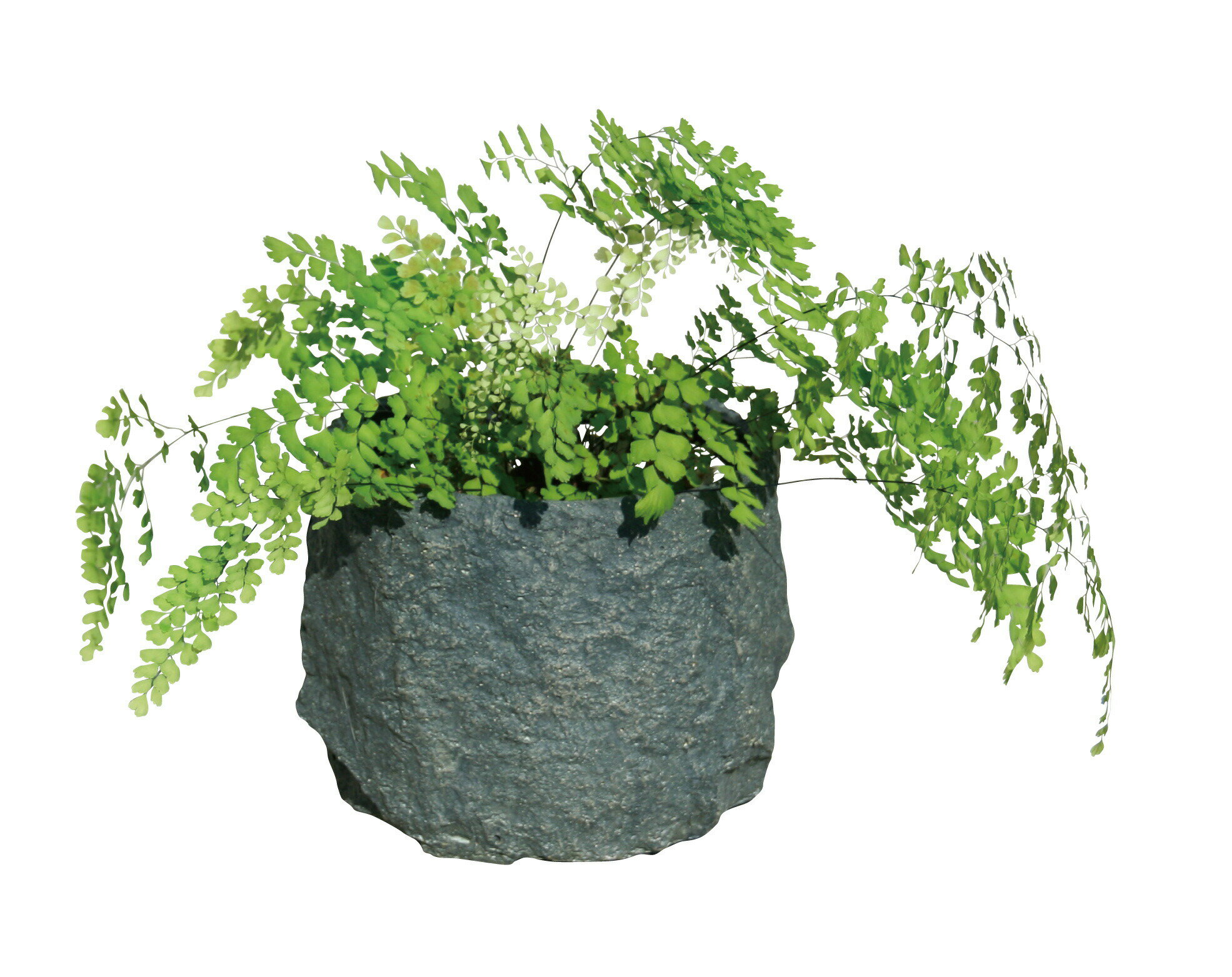 フラワーポット 86295