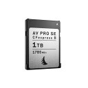 Angelbird AV PRO CFexpress SE 1TB Type-B (AVP1T0CFXBSE)GWFo[h fBA cfexpress ^Cvb