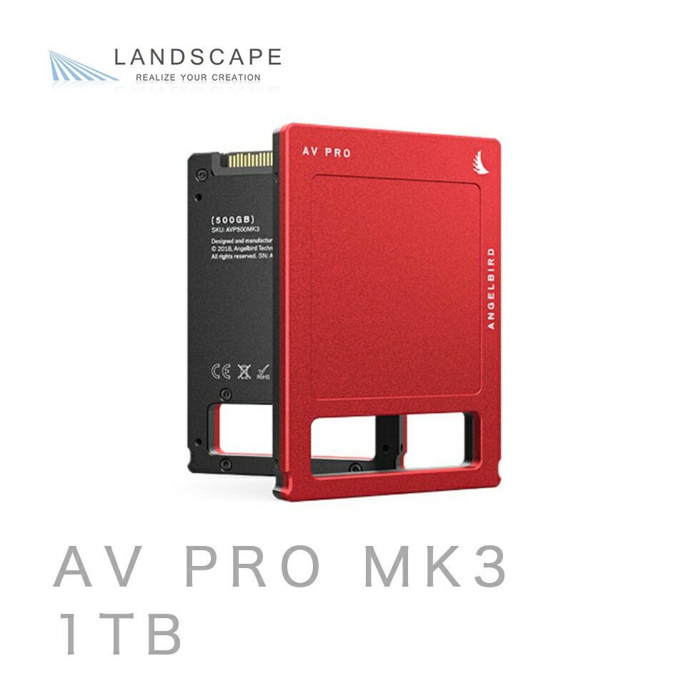 AngelbirdAV PRO MK3 1TB(AVP1000MK3)