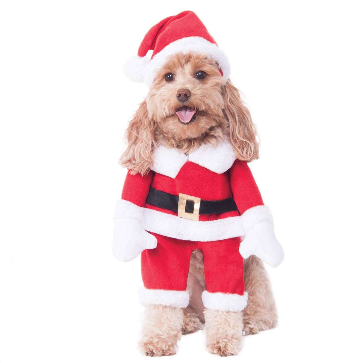 クリスマス サンタ コスプレ ペット 犬 衣装 コスチューム サンタクロース 服 Christmas