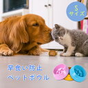 早食い防止 犬 食器 ペットボウル Sサイズ 【犬猫兼用 早食い防止皿】サイズ選択可 犬早食い防止食器 フードボウル 犬食器 猫食器 指歯ブラシ付き ブルー 【...