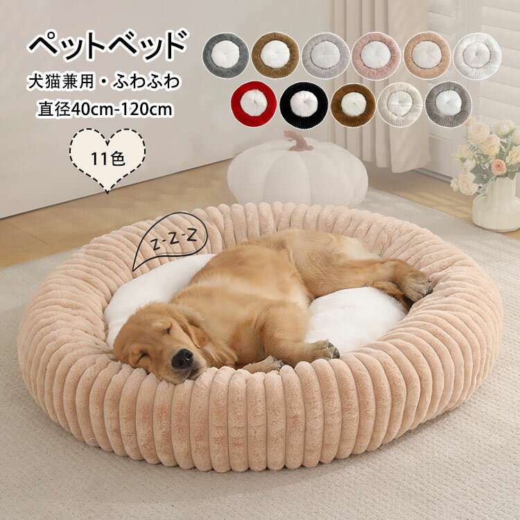 ����̵�� �ڥåȥ٥å� ���� �դ�Ȥ� �ݷ� ������ �� ���� �Ȥ��� ���ä��� �⥳�⥳ �դ�դ� �⤳�⤳ ���襤�� ��ǭ���� ���٥å� ǭ�٥å� �ڥåȥ�...