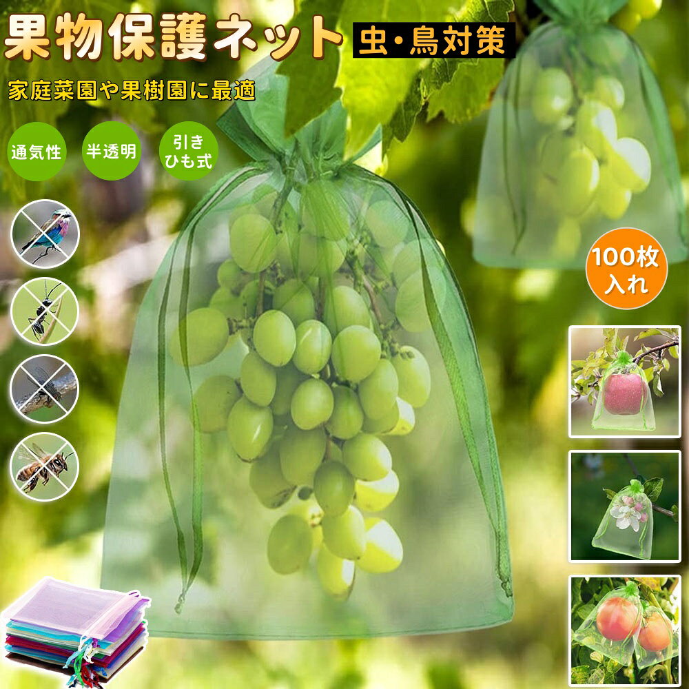 【6%OFFクーポン】鳥用 爪とぎ インコ 止まり木 鳥用パーチ オウム 爪とぎパーチ 3本 5本セット ストレート インコ 鳥スタンド 枝 爪を磨く ケージ スタンド 石英砂 ストップバー 小鳥 スタンドロッド ペット用品 文鳥 鳥 休憩 休み場所 簡単設置 鳥用品