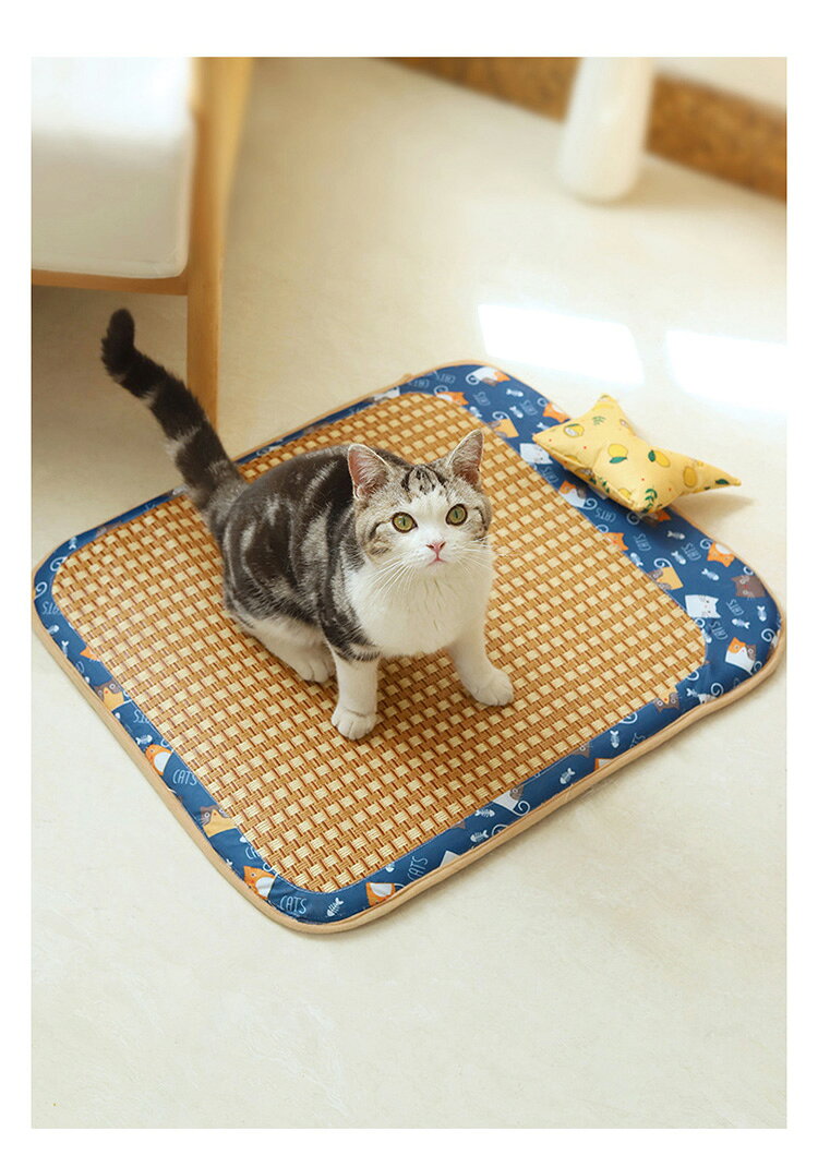 送料無料 マット ペットクールベッド ござ 夏ござ ペット ござベッド ひんやり 犬 ...