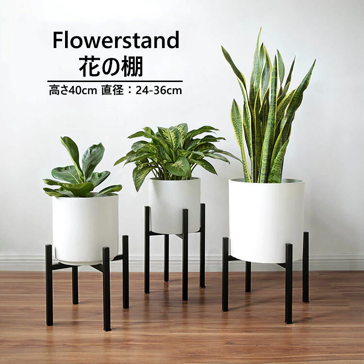 【商品コード】:y497339 【素材】：鉄 【カラー】：写真色 【サイズ】：高さ40cm 伸縮式/直径24-36cm 約40kg 注意事項: ※床のキズ防止フェルトを貼っていなくて出荷します。 ※組立式（付属のビスをドライバーで留める仕様です。簡易ドライバーは付属します。） ※商品の特性上、わずかながたつきの場合があり、付属シートを貼れば簡単にバランスをとれます。 ※平置き素人採寸ですので多少の誤差はご容赦下さい。 ※モニタ環境によって、商品の色合いが多少違う場合があります。 ※少々匂いがありますが、置いたままで2-3日くらいになくなりますので、ご安心ください。 ※万一在庫切れの場合はご了承ください。 【ガイド】 ※色々なサイズのグリーンや花鉢をレイアウトする時に便利なスタンド、デザイン的に邪魔にならないのに存在感があり、リビングやベランダで活躍しそうです。 ※玄関や廊下など狭小なスペースやお部屋の隅にも鉢やミニプランターなどを置けるかわいい観葉の花台です。プランターだけではなく、家電やペット食器置きにもピッタリです！ ※各足の底にシートが付けてあるので床や家具に傷をつける心配がなく安心です。 ※カフェや雑貨のお店、フラワーショップなどの店舗でのご使用もおすすめ、植物とのほどよい距離感を作り出す、高さのあるタイプで垂れる植物も綺麗に飾る事が出来、お部屋のグリーンをもっと素敵なものに！【商品コード】:y497339 【素材】：鉄 【カラー】：写真色 【サイズ】：高さ40cm 伸縮式/直径24-36cm 約40kg 注意事項: ※床のキズ防止フェルトを貼っていなくて出荷します。 ※組立式（付属のビスをドライバーで留める仕様です。簡易ドライバーは付属します。） ※商品の特性上、わずかながたつきの場合があり、付属シートを貼れば簡単にバランスをとれます。 ※平置き素人採寸ですので多少の誤差はご容赦下さい。 ※モニタ環境によって、商品の色合いが多少違う場合があります。 ※少々匂いがありますが、置いたままで2-3日くらいになくなりますので、ご安心ください。 ※万一在庫切れの場合はご了承ください。 【ガイド】 ※色々なサイズのグリーンや花鉢をレイアウトする時に便利なスタンド、デザイン的に邪魔にならないのに存在感があり、リビングやベランダで活躍しそうです。 ※玄関や廊下など狭小なスペースやお部屋の隅にも鉢やミニプランターなどを置けるかわいい観葉の花台です。プランターだけではなく、家電やペット食器置きにもピッタリです！ ※各足の底にシートが付けてあるので床や家具に傷をつける心配がなく安心です。 ※カフェや雑貨のお店、フラワーショップなどの店舗でのご使用もおすすめ、植物とのほどよい距離感を作り出す、高さのあるタイプで垂れる植物も綺麗に飾る事が出来、お部屋のグリーンをもっと素敵なものに！