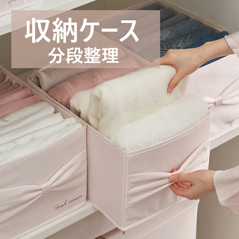 収納 メッシュ下着収納ボックス 収納ケース 仕切り 整理整頓 片付け 省スペース 衣類収納 ブラジャー・パンツ収納 クリスマス プレゼント ギフト 引出し収納 収納便利
