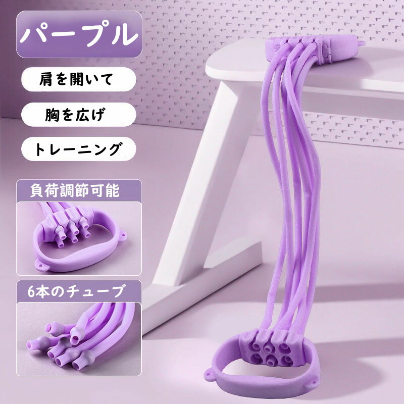【送料無料】チューブ 強化 筋トレーニング 筋トレ 背筋 胸筋 負荷調節可 6連式 レ...