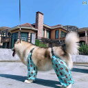 ワンちゃん用 かっぱ 脚の リハビリテーション 犬用 レインコート 防水 スリーブ 四 足 尿 防止 ビション シュナウザー ゴールデンレトリバー アラスカ 夏