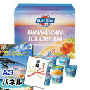 「ブルーシール」 アイスギフトセット 景品パネル&引換券付き目録 景品 目録 ビンゴ 二次会 沖縄