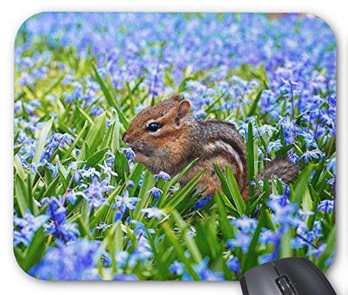 シマリスのマウスパッド：フォトパッド（ 世界の野生動物シリーズ ）