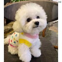 犬服 ニット セーター ペット 春秋服 猫と 犬の 服 秋冬 レインボー スイートハート セーター 秋冬服 ベスト