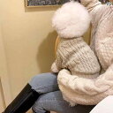 犬服 ニット セーター 猫と 犬の 服 テディ ビション ポメラニアン シュナウザー ヨークシャーテリア 小型 犬 ペット プードル ニット セーター