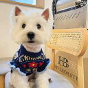 犬服 ニット セーター 秋冬 犬 服 パフスリーブ シュナウザー テディ ビション フレンチブルドッグ 小型 暖かい セーター レーススリーブ
