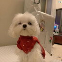 犬服 ニット セーター 犬 服 正月 テディ ビション ポメラニアン セーターお祝い 子犬 ペット 猫 小型