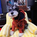 犬用 パーカー ウェア テディ ビション シュナウザー フレンチブルドッグ 犬と 猫の 秋冬 暖かい 服の 小さい 綿の コートの ペット ファッション の ジ...
