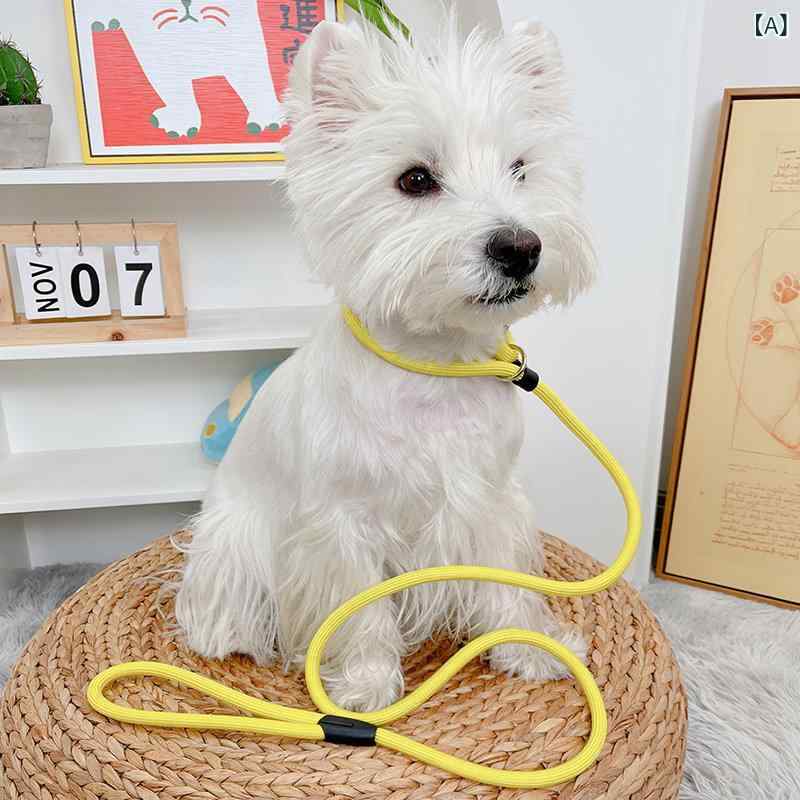 ワンちゃん用 リード 犬の 散歩用 リード 犬 用 防 爆 P ロープ 犬用 子犬用 チェーン 小型 中型 ビション コーギー テディ