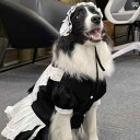 小型犬用 ドレス かわいい ペット 中型 大型 犬用 スカート 変身 コスチューム メイド 服 エプロン ヘッド ドレス ゴールデンレトリバー サモエド 巨大 ...