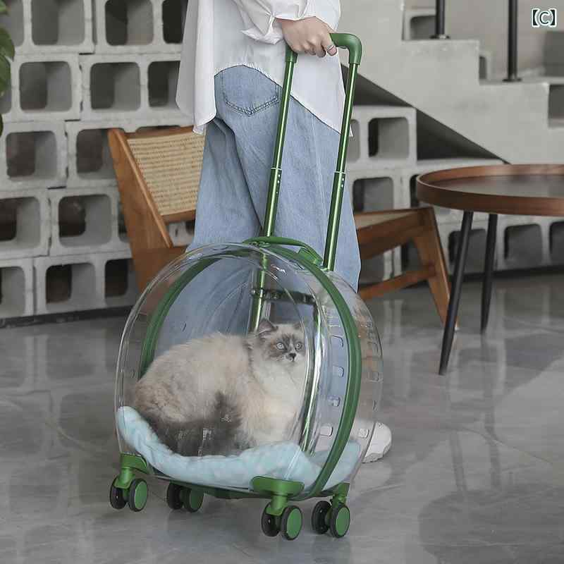 ǭ�� ���Ф��� �Хå� ���å� �ڥå� �ȥ��꡼������ ǭ �Хå� ���� �ݡ����֥� ��ʪ Ʃ�� �緿 �٥ӡ� ���� �� ���ڡ��� ���ץ���