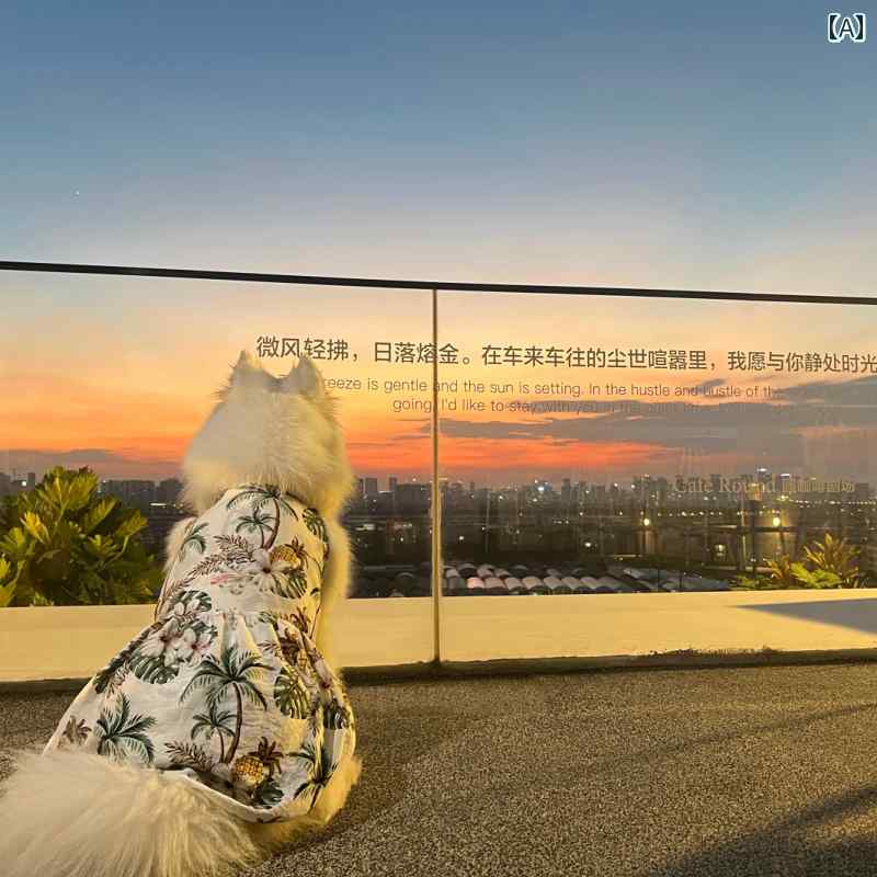 Rakuten - 大型犬用 ワンちゃん ウェア ペットの 大型 犬 ドレス 中型 犬と 犬の 服 サモエド ゴールデンレトリバー ラブラドール ハワイアン 汚れ 防止