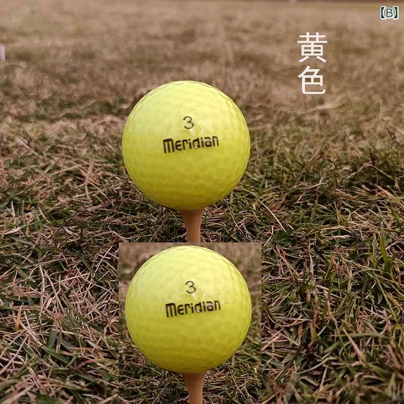 ゴルフボール ゴルフ カラー 競技用 ボール ドライビングレンジ 2階 練習用 小さい