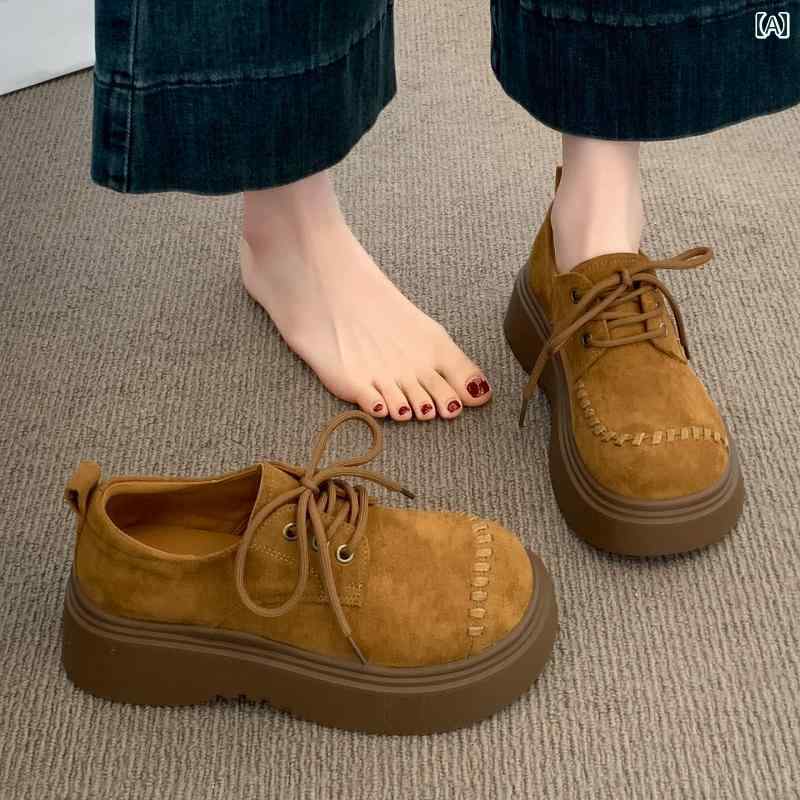 ե ǥ ӥ륱󥷥ȥå  塼  ֥饦 2025 ǽ  Ĺ å ̤  ե  ȥ ե