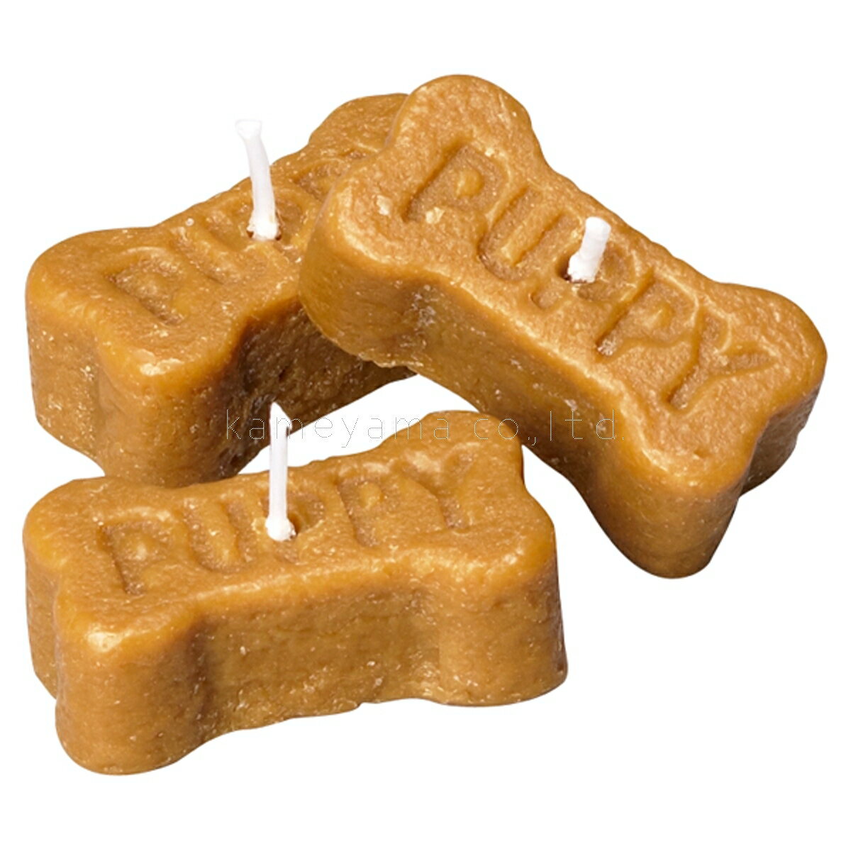 �ɥå��ӥ����åȥ����ɥ� 9������ ������ ���� ������ �����ޥ������� ���� ʩ�� �ڥå� ���� ��