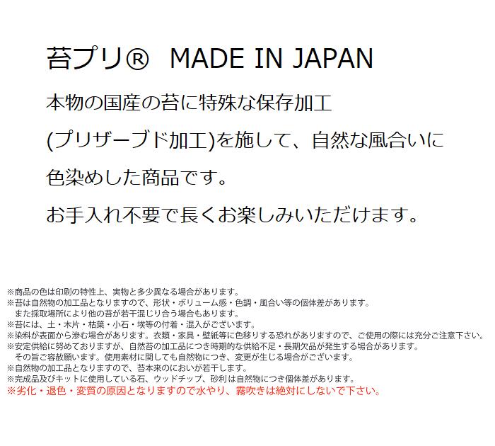 �ݥץ� �ϻ��奭�å� Ļ�� ��϶�դ� 11174KP �ݥץꥭ�å� �Ϥ�ʤ� �� �ץꥶ���֥ɥե� �ץꥶ���֥ɲù� �ƥ�ꥦ�� ����̵�� ����� ������ ����� ��Ϸ���� �ץ쥼��� ��̣ �ץꥶ���֥ɥ��꡼�� ��Ρ����󥿡��ʥ���ʥ�������