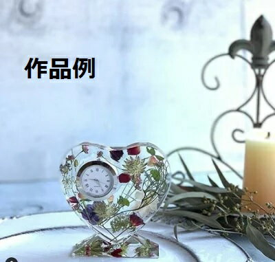 ��¨Ǽ�� ���ꥢ�ꥦ�� �����å�B �� 1�� �����޿��� ������� ���� ���쥬��� ���ꥢ�ꥦ�� �Ǥޤ� �ϡ��Хꥦ�� ���ꥸ�ʥ� ���� �ϥ�ɥᥤ�� ���ꥸ�ʥ� ���������� ca002