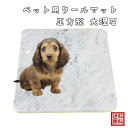 【アウトレット】イタリア産 ビアンコカララ 正方形 ペットマット ペット用マット 猫 犬 ねこ ネコ ペット用 白 ペット マット 石製 大理石 犬 猫 名前彫...