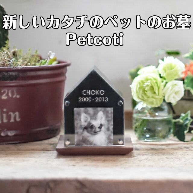 ̵Petcoti(ڥåȥåƥ)ΥڥåȤΤڥåȶܹդǭǼѥȥ̿ޤȢդ