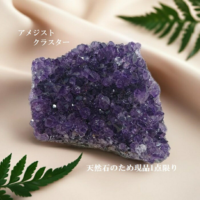 ڿʡ ̵ 1¤ ᥸ 饹 ŷ  徽 2  μ ѥȡ ʪ   ...