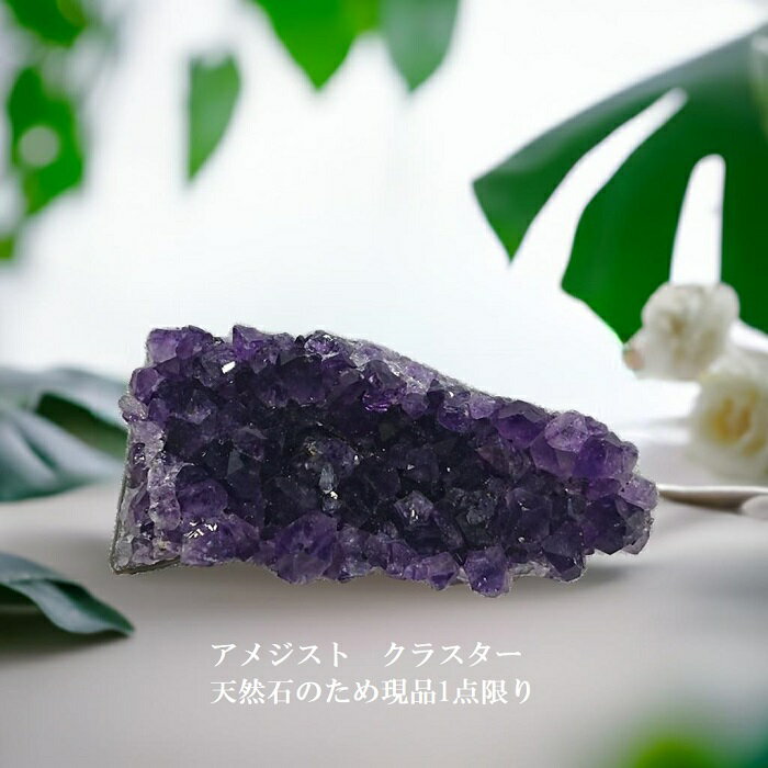 送料無料 現品1点限り アメジスト クラスター 天然石 原石 紫水晶 2月 誕生石 愛の守護石 パワートーン..