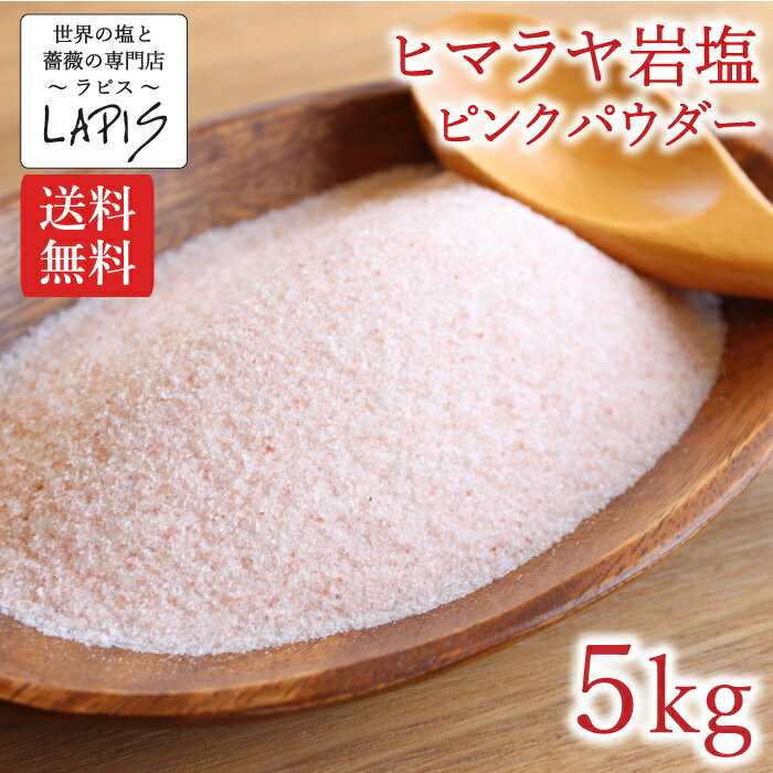 【送料無料】ヒマラヤ岩塩ピンクパウダー 1kg×5袋　塩 岩塩 食用 粉末 パウダー 美味しい 使いやすい チャック袋 保存に便利 1